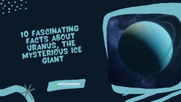 Top 10 Fascinating Facts About Uranus