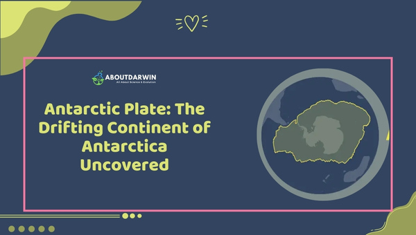 Antarctic Plate