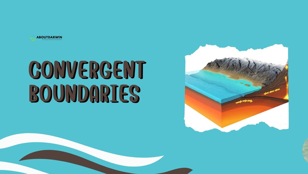 Understanding Plate Tectonic Types: Convergent Boundaries 