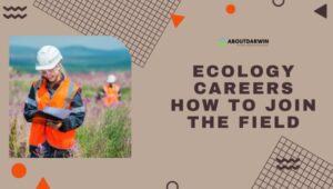 Ecology Careers
