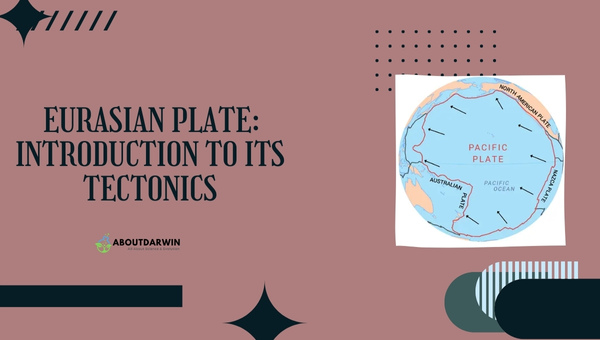 Eurasian Plate