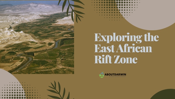 African Plate and the East African Rift Zone