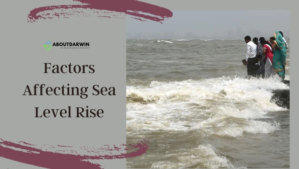 Factors Affecting Sea Level Rise