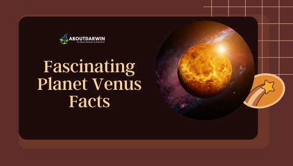 Planet Venus Facts