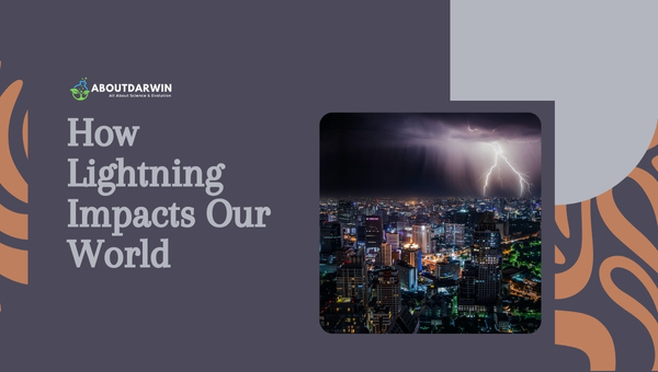 How Lightning Impacts Our World?