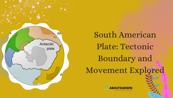 South American Plate