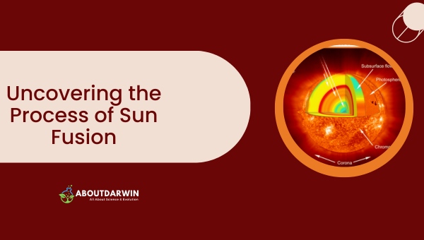 Sun Fusion
