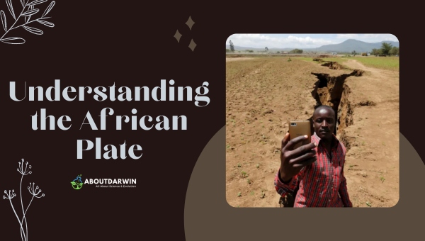 African Plate and the East African Rift Zone