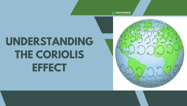 Understanding the Coriolis Effect