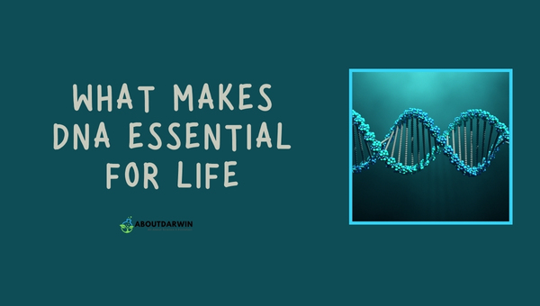 What Makes DNA Essential for Life.