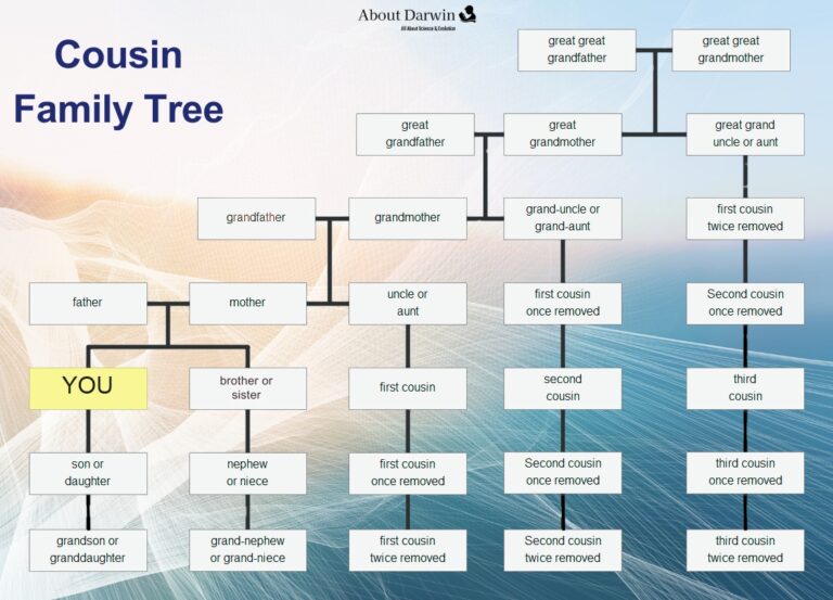 What Is A Second Cousin? Explanation With Family Tree Chart