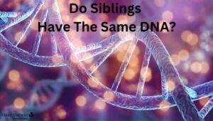 Do Siblings Have The Same DNA?