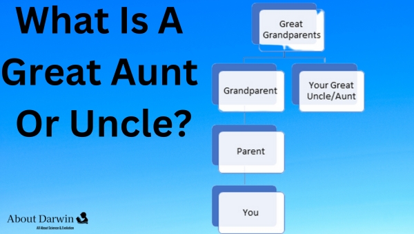 What Is A Great Aunt Or Uncle?