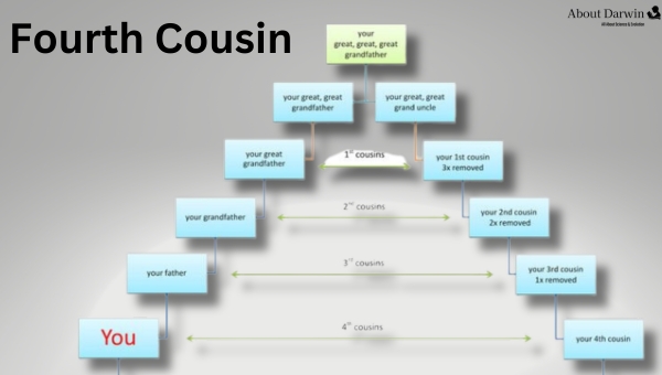What is a Fourth Cousin