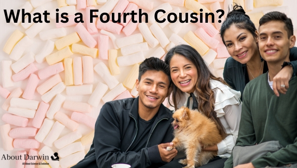 What is a Fourth Cousin?