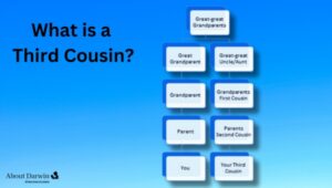 What is a Third Cousin?