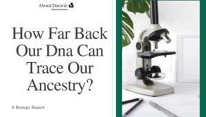 How Far Back Our Dna Can Trace Our Ancestry?