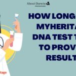 How Long Does MyHeritage DNA Test Take to Provide Result?
