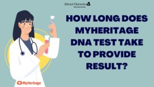 How Long Does MyHeritage DNA Test Take to Provide Result?