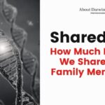 How Much DNA Do We Share with Family Members?