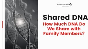 How Much DNA Do We Share with Family Members?