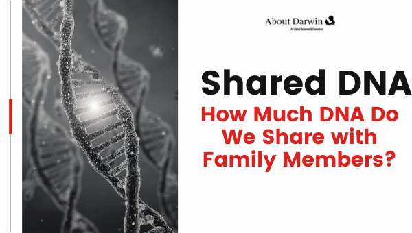 How Much DNA Do We Share with Family Members?