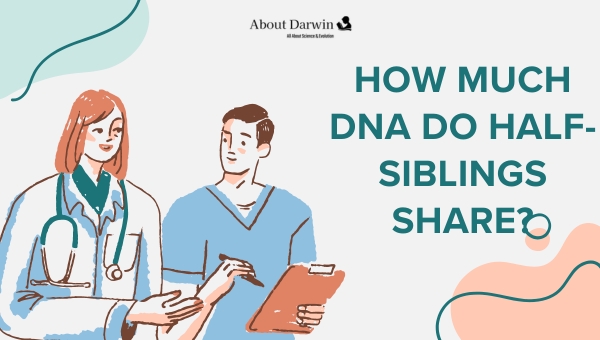 DNA: How much DNA do half-siblings share?