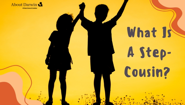What Is A Step-Cousin?