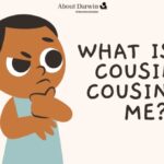 What Is My Cousin's Cousin To Me?