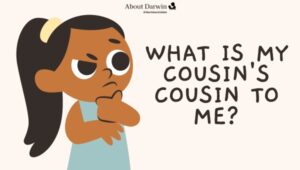 What Is My Cousin's Cousin To Me?