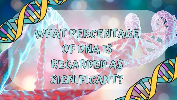 What percentage of DNA is regarded as significant?