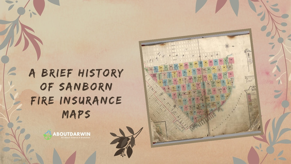 A Brief History of Sanborn Fire Insurance Maps