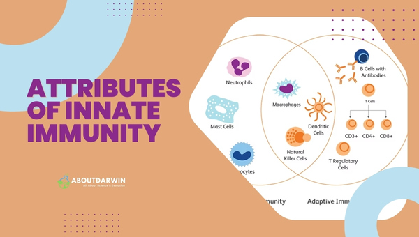 Difference of Innate and Adaptive Immunity: Attributes of Innate Immunity