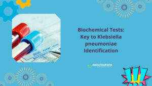 Biochemical Tests: Key to Klebsiella pneumoniae Identification