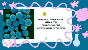 Cryptococcus Neoformans Detection: Precision Diagnostics