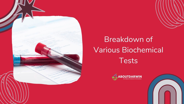 Klebsiella pneumoniae: Breakdown of Various Biochemical Tests