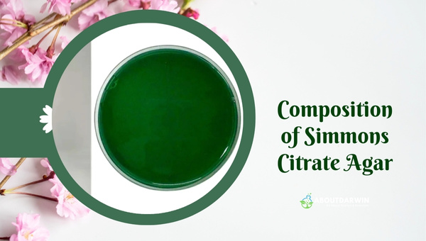 Composition of Simmons Citrate Agar