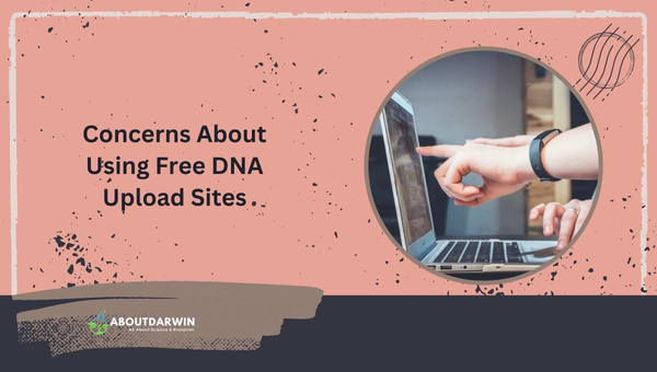 Concerns About Using Free DNA Upload Sites