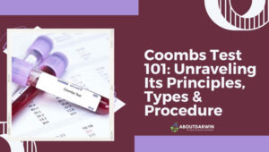 Coombs Test: Unraveling Its Principles, Types & Procedure