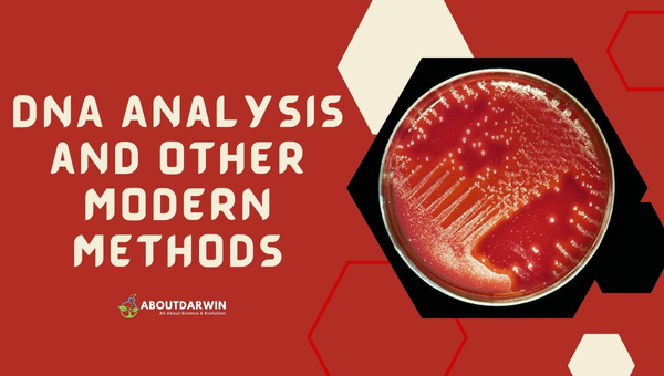 DNA Analysis and Other Modern Methods