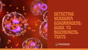 Detecting Neisseria Gonorrhoeae: Guide to Biochemical Tests