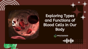 Exploring Types and Functions of Blood Cells in Our Body