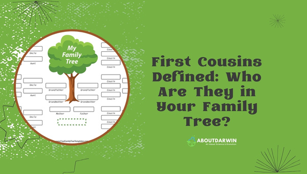 First Cousins Defined: Who Are They in Your Family Tree?