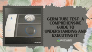Germ Tube Test Explained