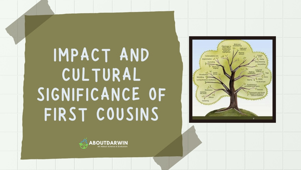 Impact and Cultural Significance of First Cousins