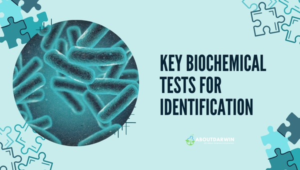 Key Biochemical Tests for Identification