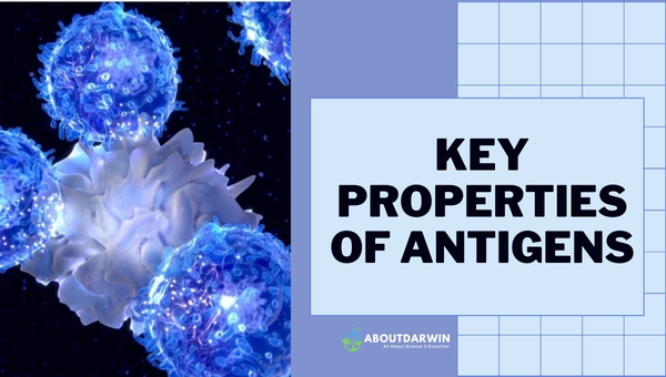 Key Properties of Antigens