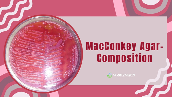 MacConkey Agar Composition
