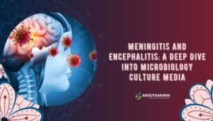 Culture Media: Microbiology Marvels for Breakthroughs
