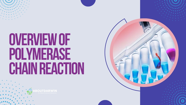 Overview of Polymerase Chain Reaction (PCR)